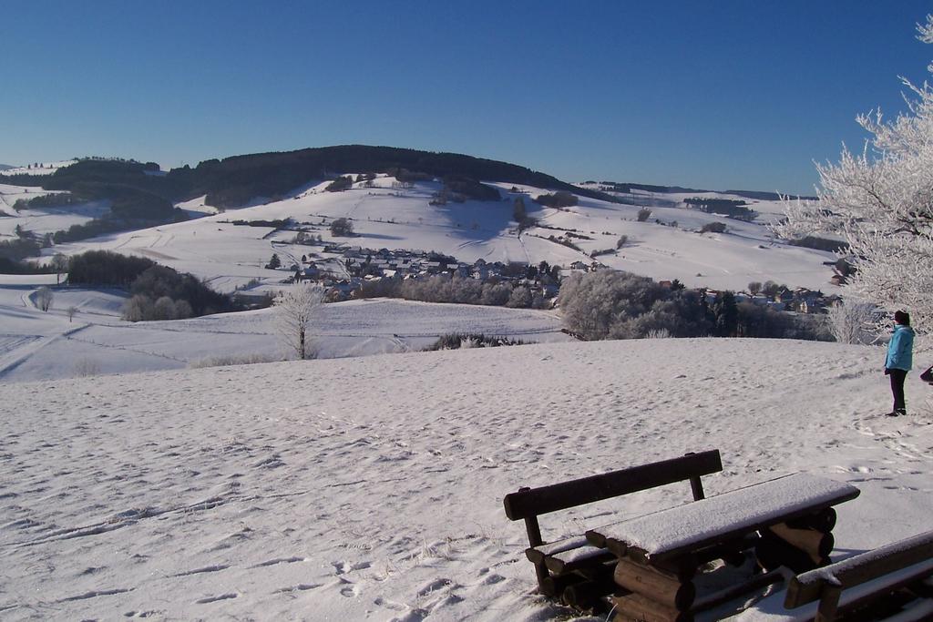 Fewo Wilke Willingen  Exterior foto