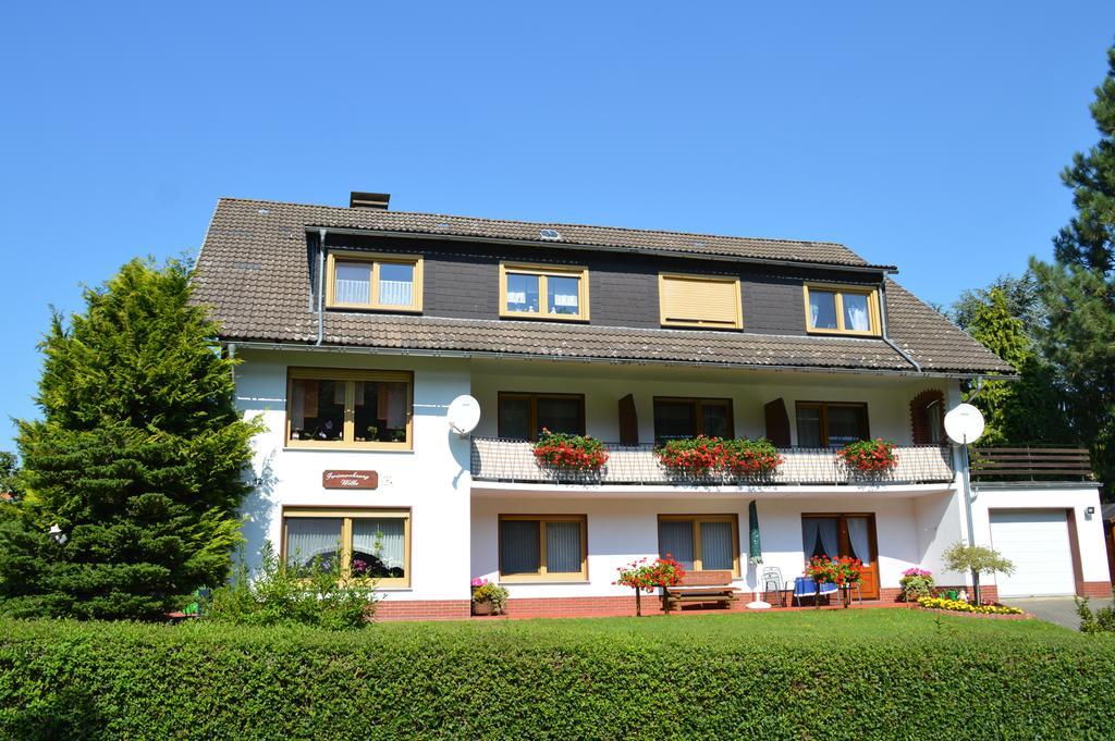 Fewo Wilke Willingen  Exterior foto